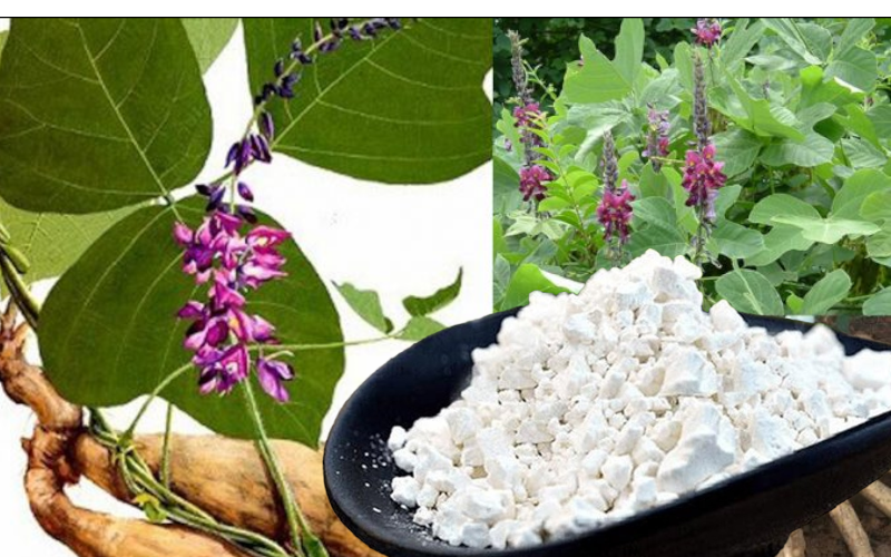 Bột sắn dây
